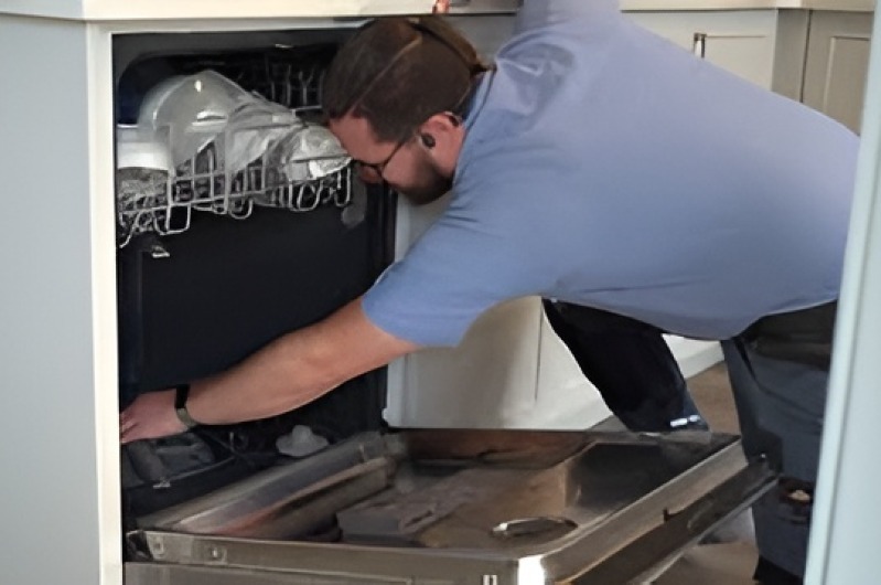 Dishwasher repair in Potrero